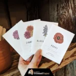 Custom Seed Packaging